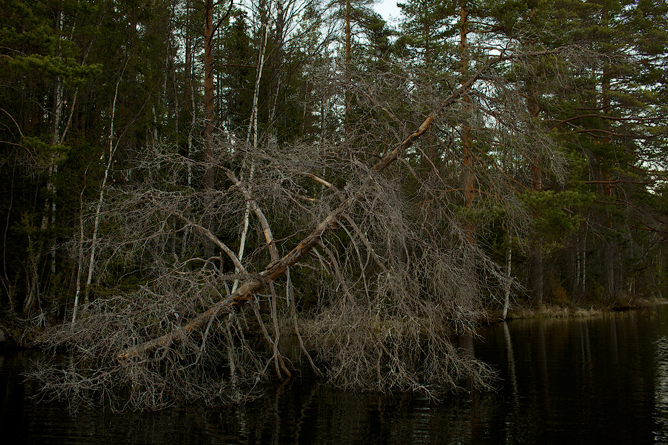 Valkeajärvi 2013-03