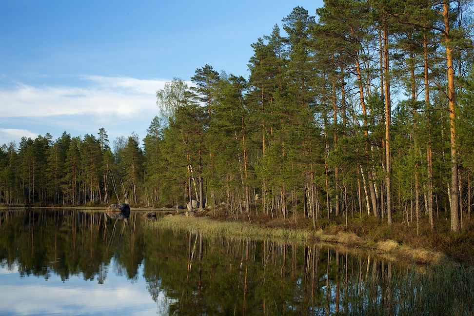 Porrasjärvi 2013-05