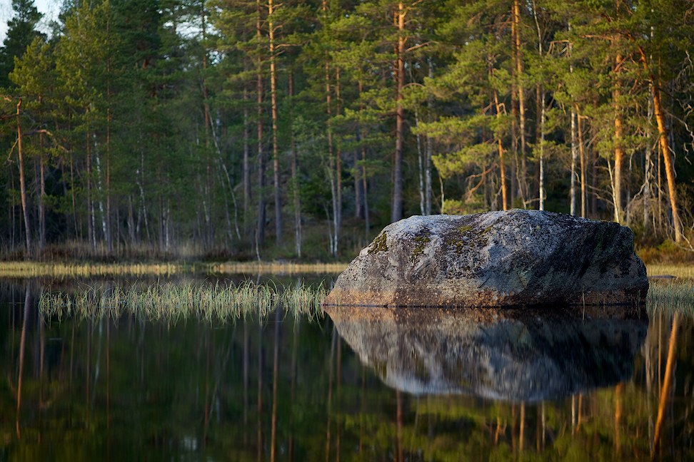 Porrasjärvi 2013-06